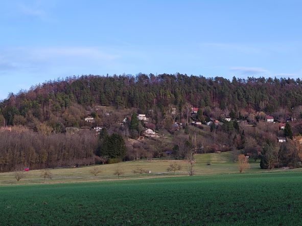 Martinsberg Rottenburg von der Ferne