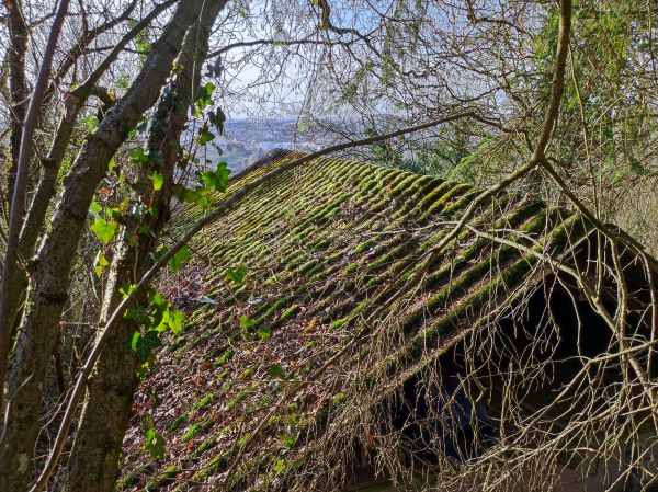 Martinsberg Rottenburg Wochenendhaus kaufen